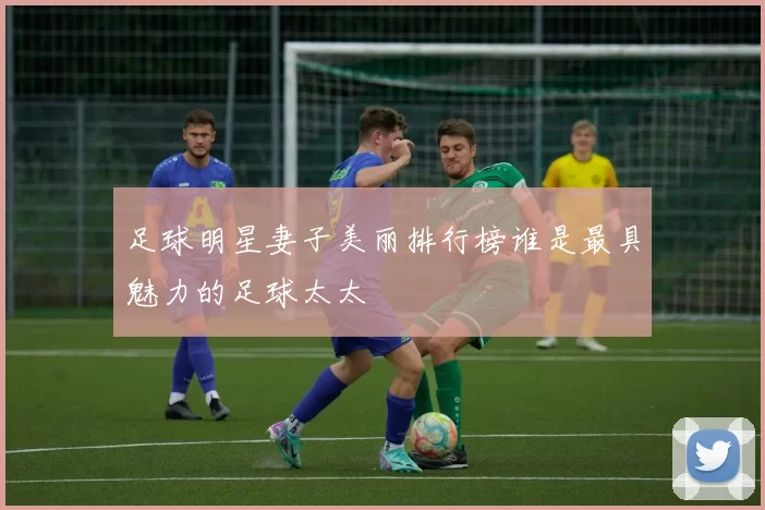 足球明星妻子美丽排行榜谁是最具魅力的足球太太