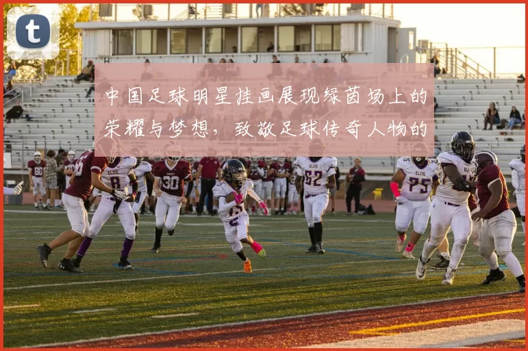 中国足球明星挂画展现绿茵场上的荣耀与梦想，致敬足球传奇人物的风采与成就