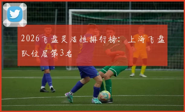 2026飞盘灵活性排行榜：上海飞盘队位居第3名