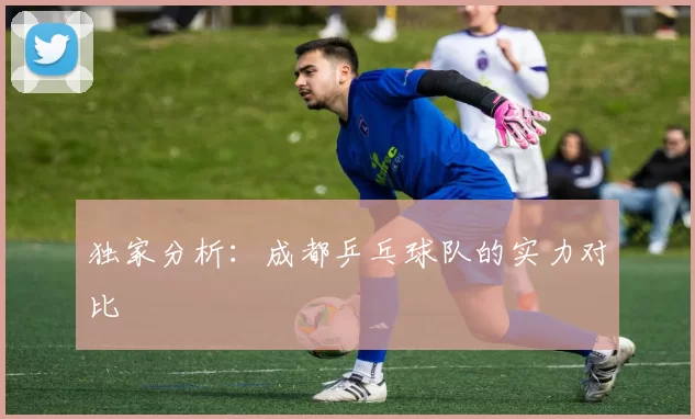 独家分析：成都乒乓球队的实力对比