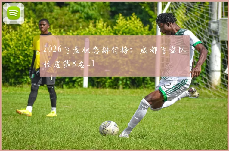 2026飞盘状态排行榜：成都飞盘队位居第8名_1