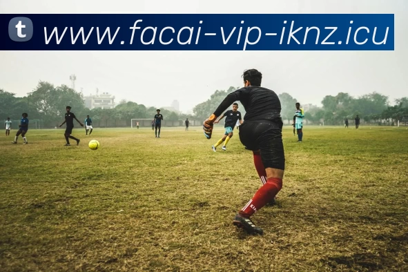 米兰体育平台生态图